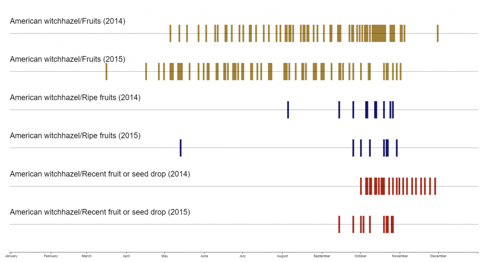 Phenology calendar from USA-NPN Visualization Tool
