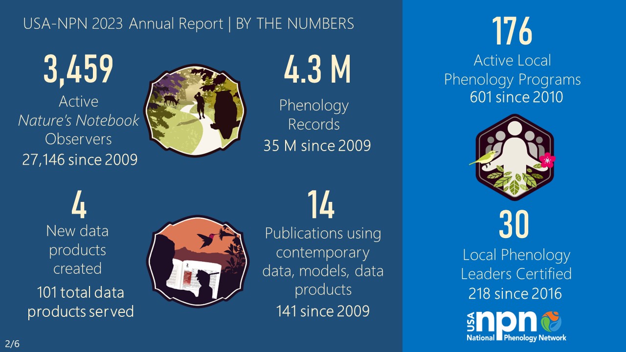 USA-NPN 2023 Annual Report By the Numbers