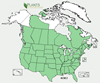 Distribution map for species Acer negundo