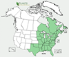Distribution map for species Acer rubrum