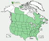 Distribution map for species Ambrosia artemisiifolia
