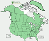 Distribution map for species Bromus tectorum