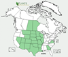 Distribution map for species Buchloe dactyloides