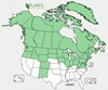 Distribution map for species Cornus canadensis