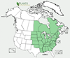 Distribution map for species Corylus americana