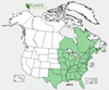Distribution map for species Hamamelis virginiana