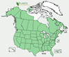 Distribution map for species Medicago sativa