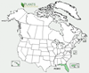 Distribution map for species Persea americana