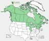 Distribution map for species Picea mariana
