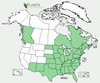 Distribution map for species Prunus serotina