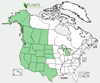 Distribution map for species Pseudoroegneria spicata