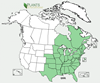 Distribution map for species Quercus alba