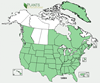 Distribution map for species Sambucus nigra