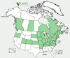 Distribution map for species Syringa vulgaris