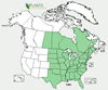 Distribution map for species Tilia americana