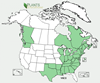 Distribution map for species Vaccinium corymbosum