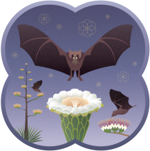 Flowers for Bats campaign badge