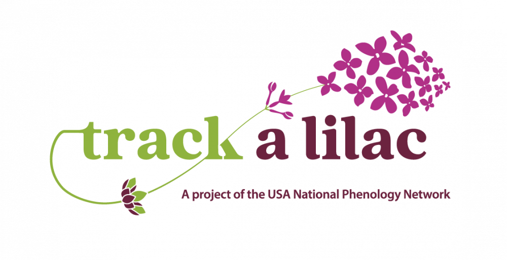 Track a Lilac logo