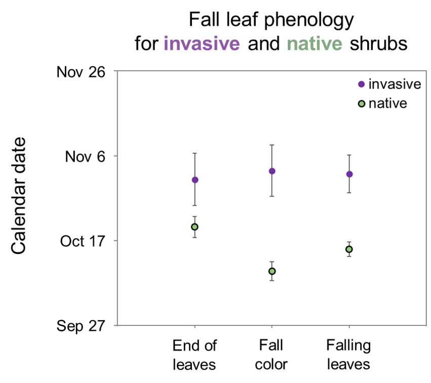 Shady Invaders fall phenology of invasives and natives