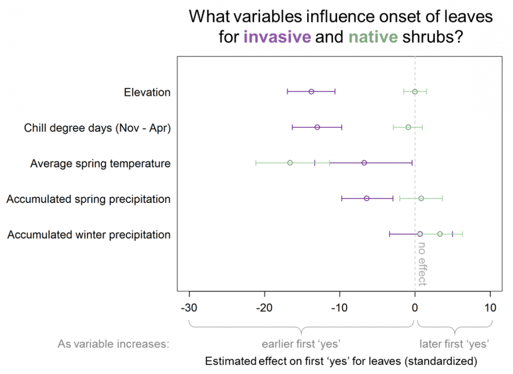 Shady Invaders environmental variables influencing onset