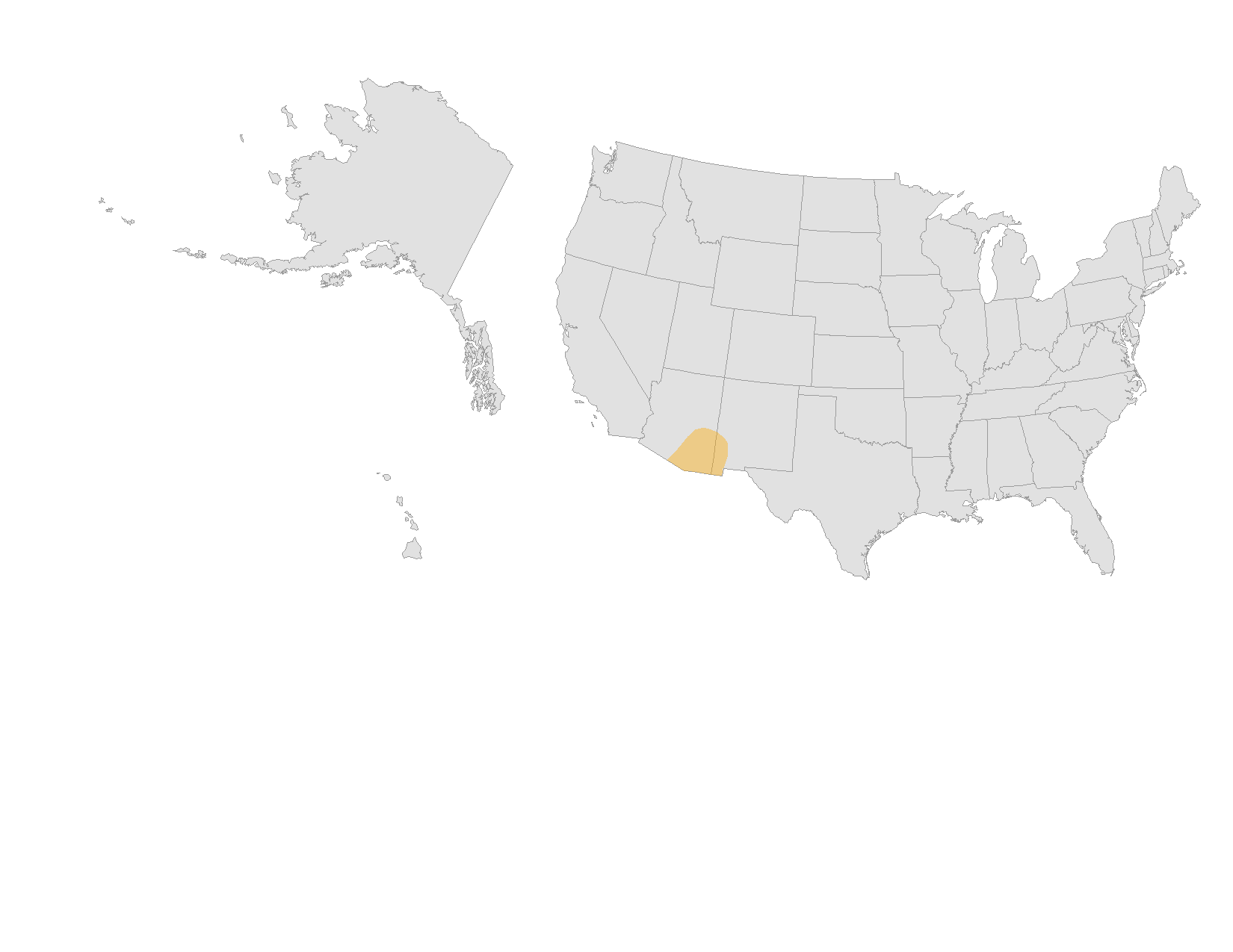 Flowers for Bats campaign map