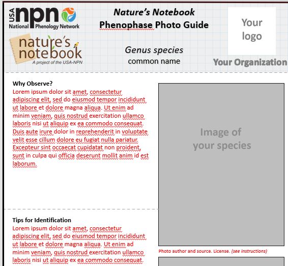 Template for Phenophase Photo Guides 