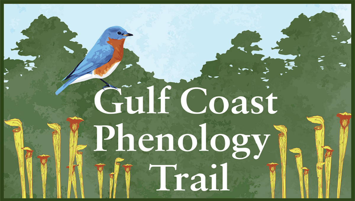 Gulf Coast Phenology Trail logo