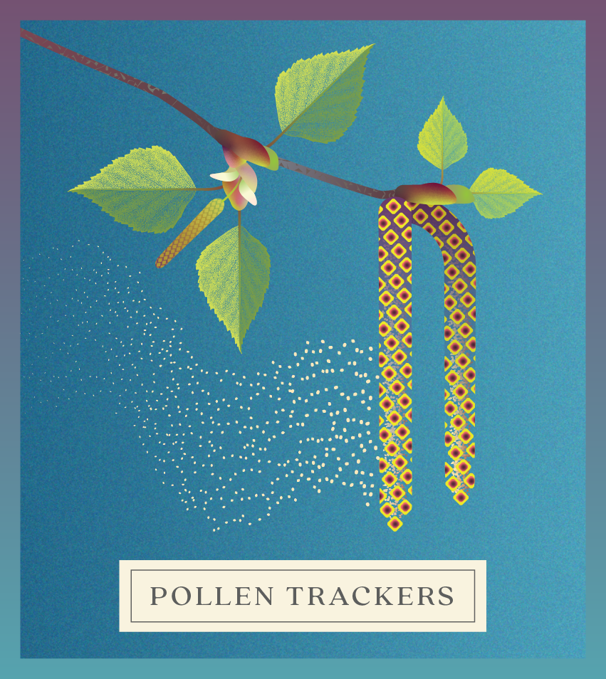 Pollen Trackers logo featuring birch catkin with pollen