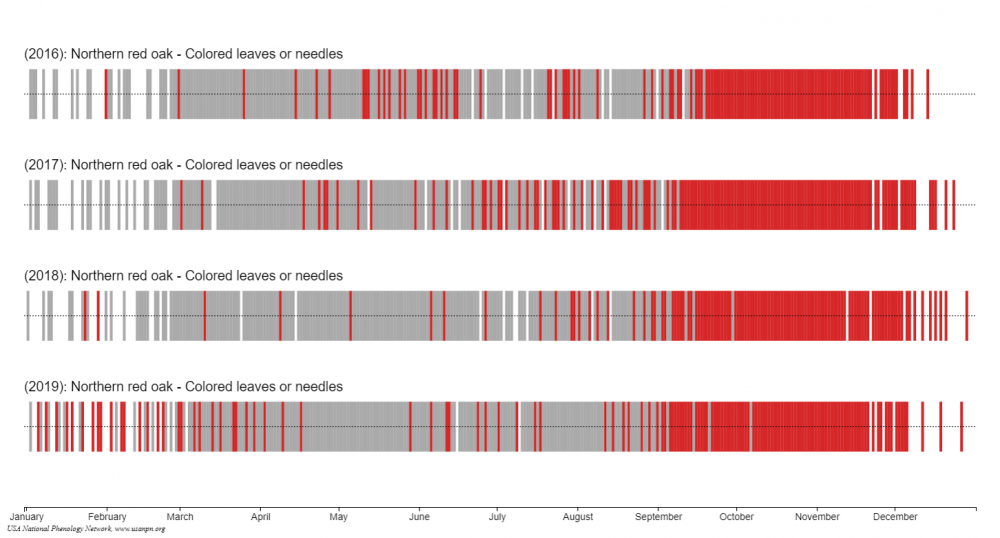 Screencap from USA-NPN Visualization Tool showing calendar