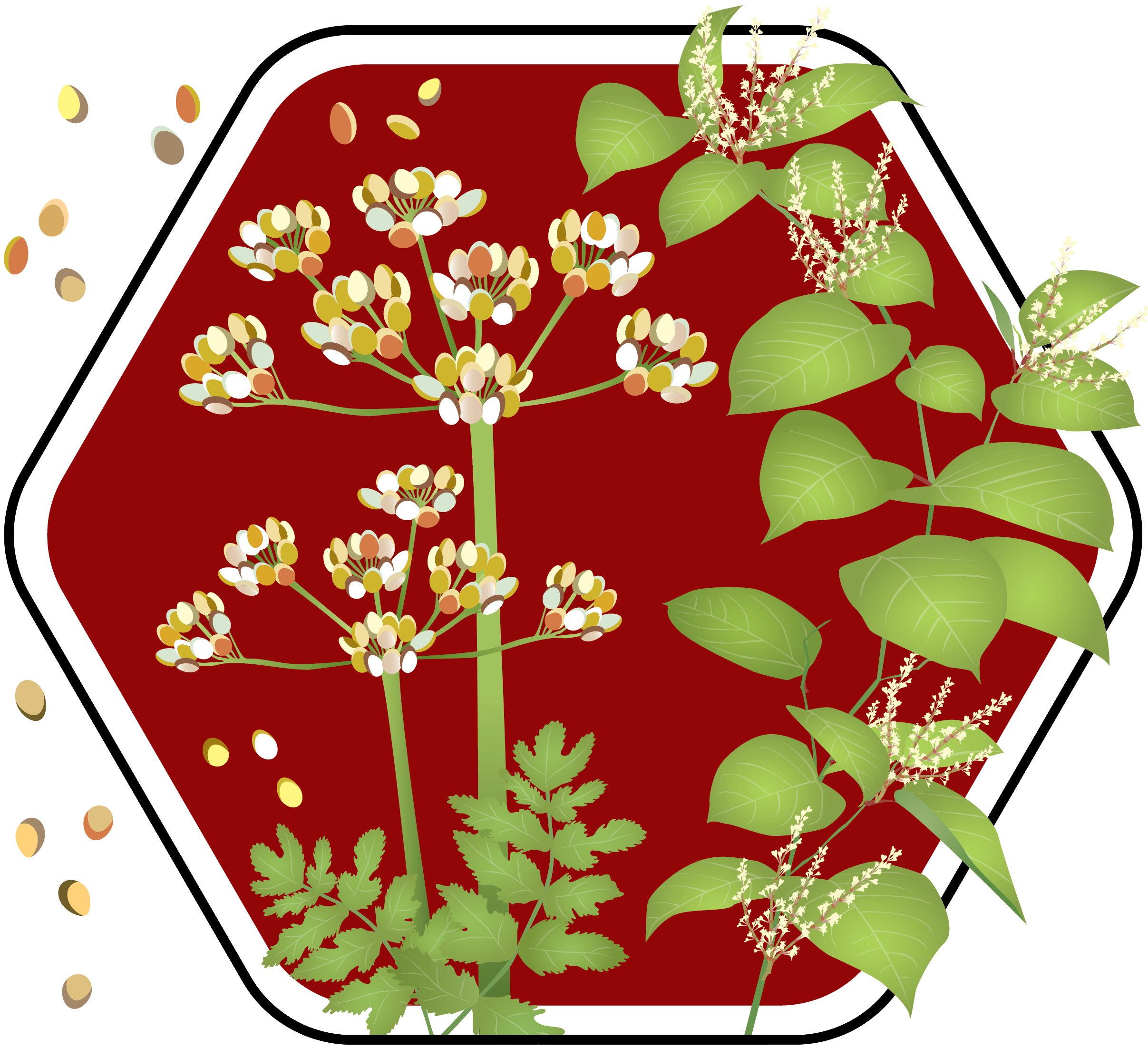 Pesky Plant Trackers campaign badge with wild parsnip and knotweed on a stop sign