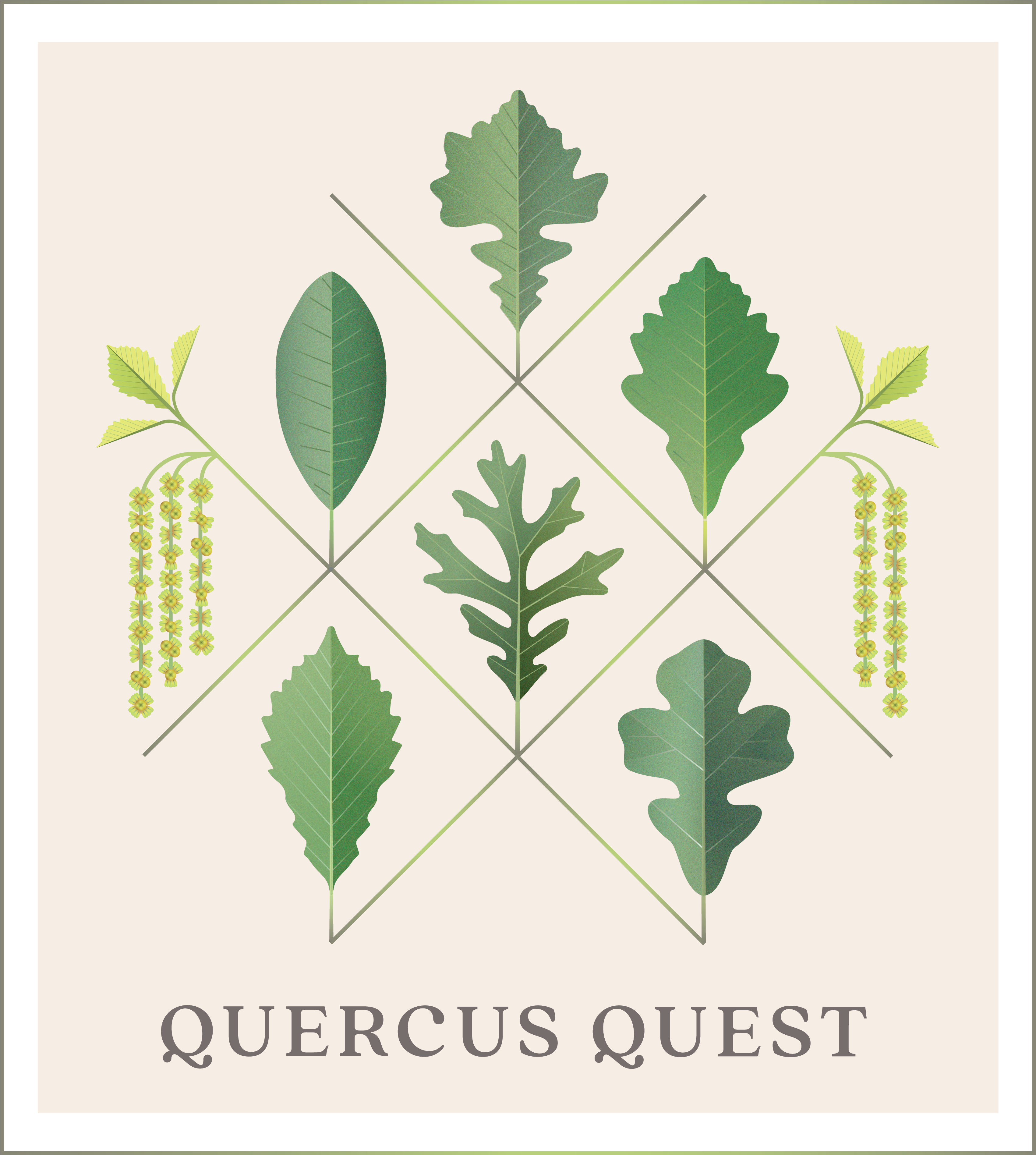 Quercus Quest campaign logo