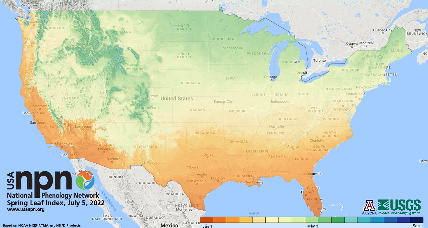 Spring Leaf Index July 5, 2022