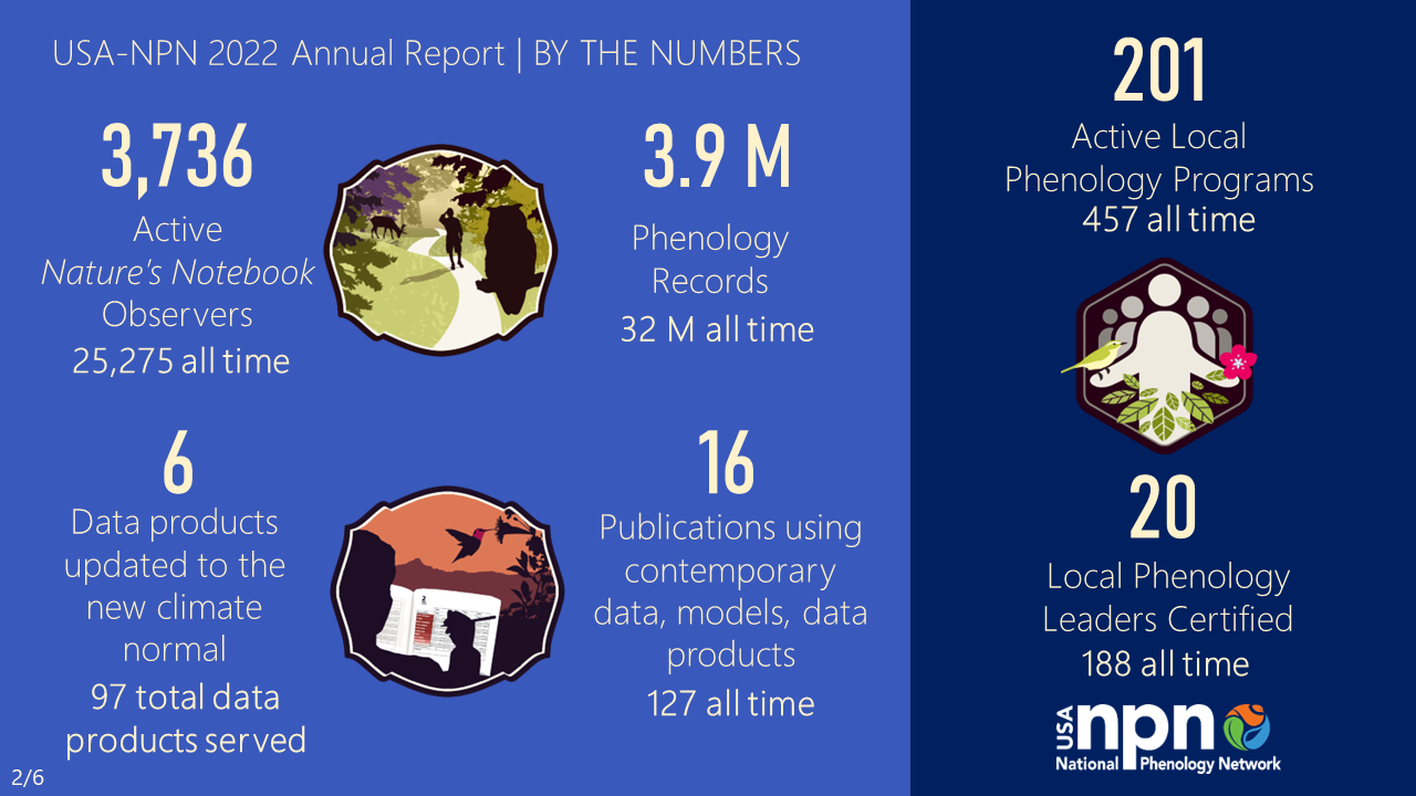 USA-NPN 2022 Annual Report By the Numbers