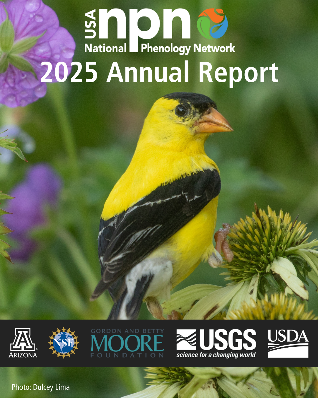 USA-NPN 2025 Annual Report cover with funder logos and image of a bird