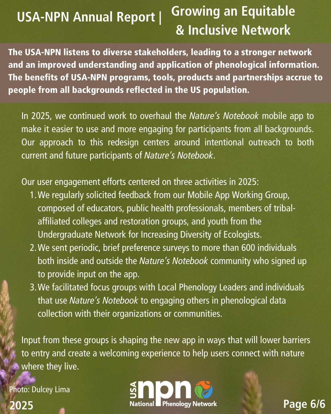 USA-NPN 2025 Annual Report growing an equitable and inclusive network