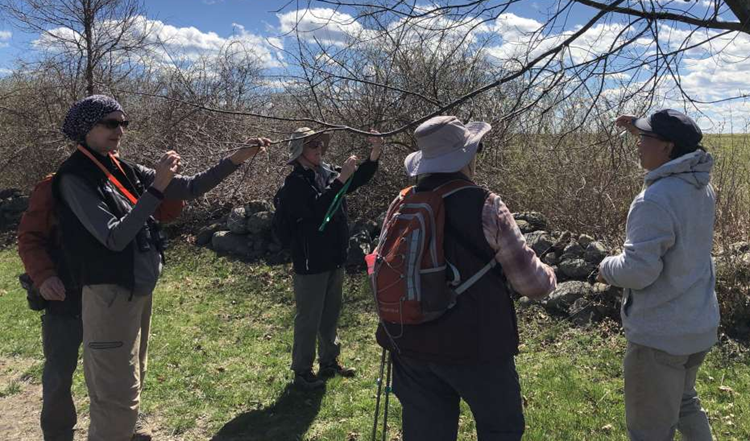 Five people stand outside and look at plants
