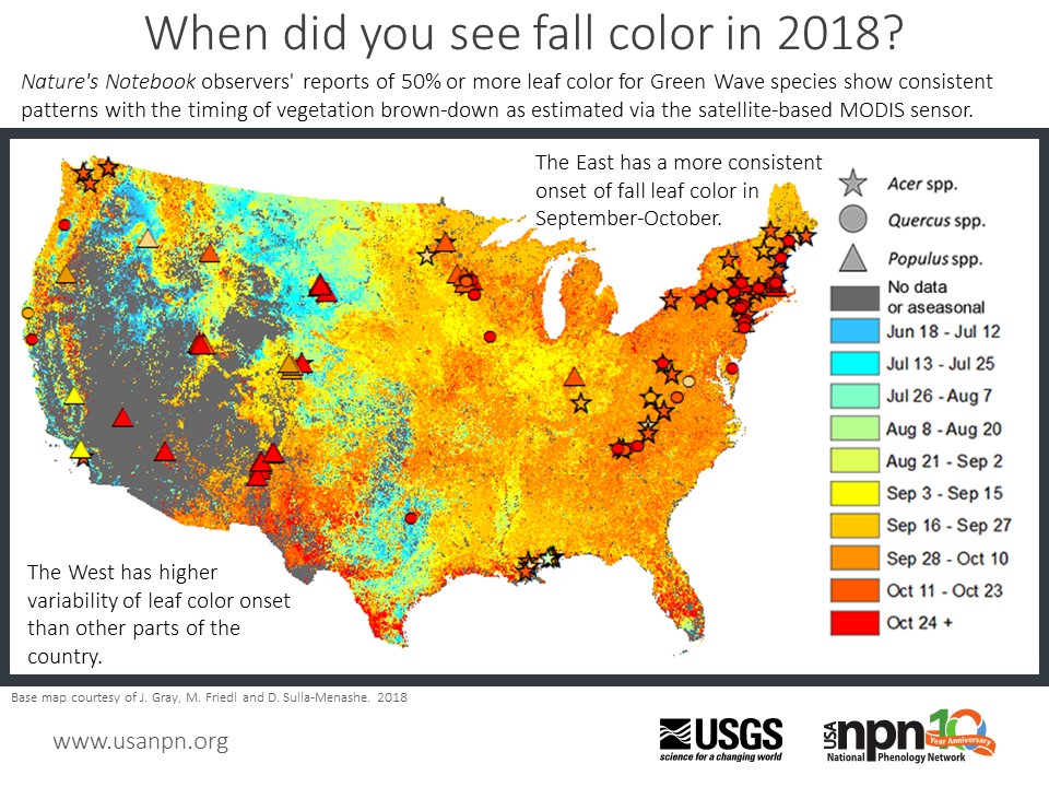 Fall 2018 Seasonal story of leaf color reports