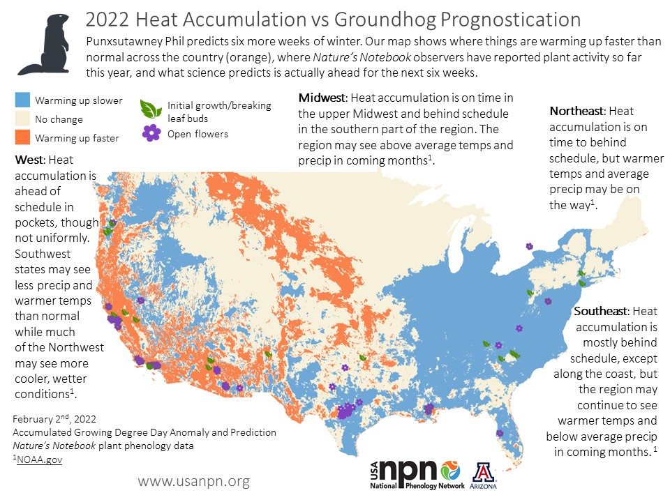 Groundhog Day 2022 Seasonal Story