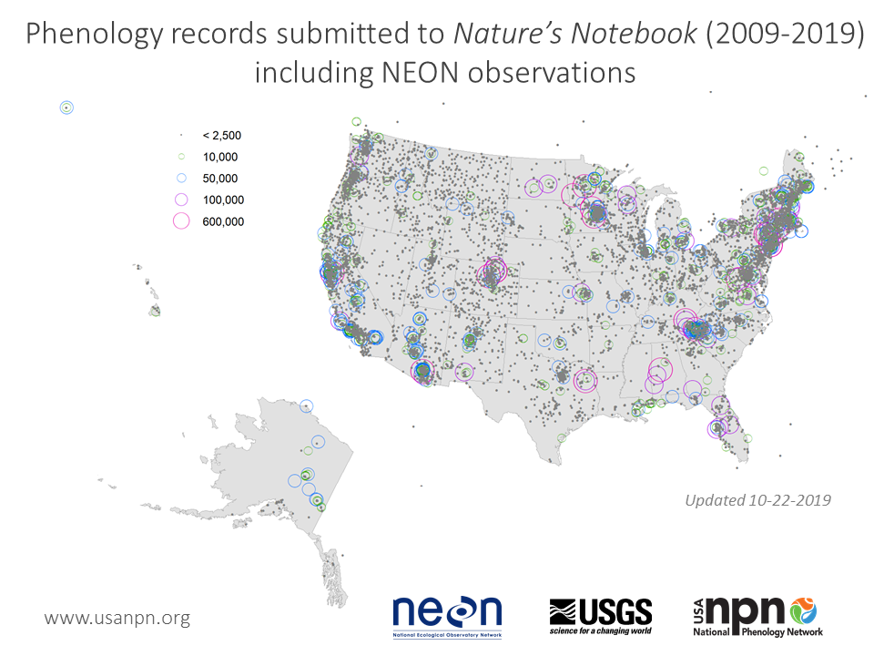 Nature's Notebook and NEON records as of Oct 2019