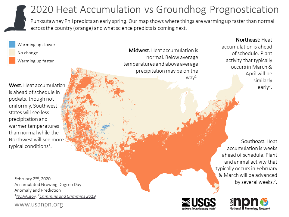 Groundhog day seasonal story 2020