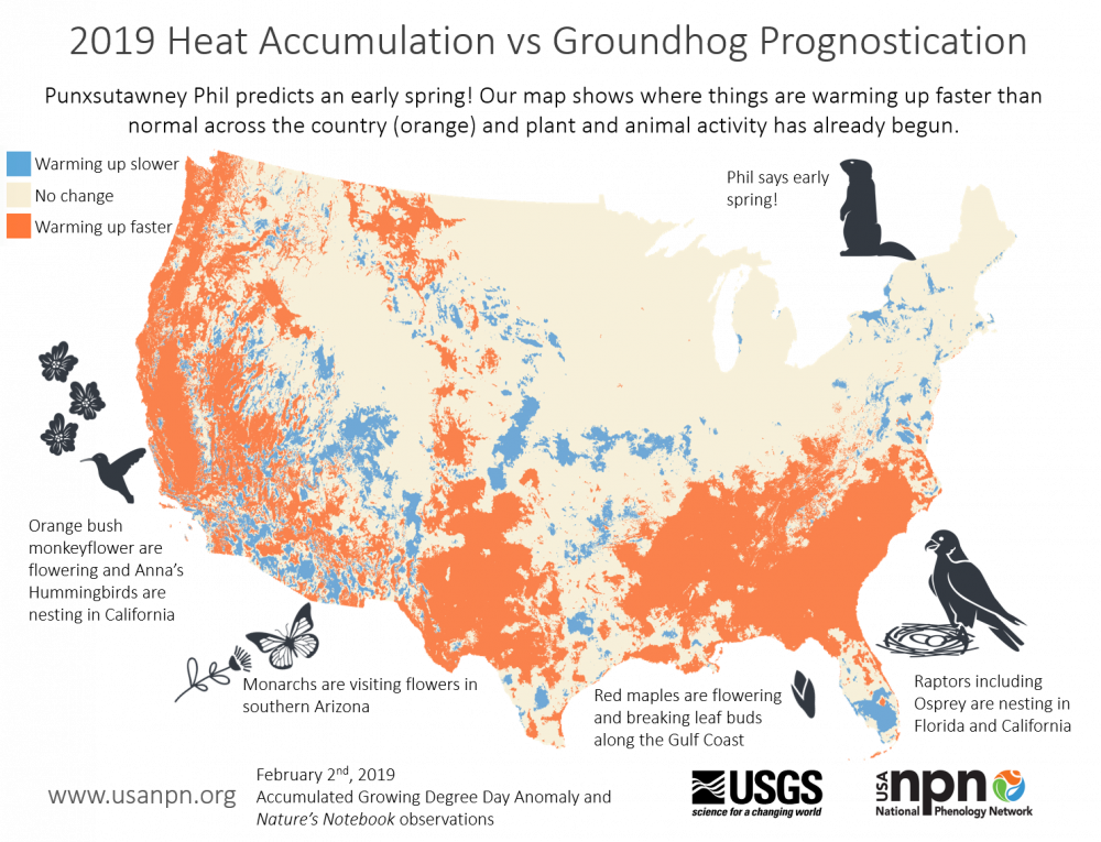 2019 heat accumulation vs groundhog prognostication
