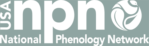 USA-NPN Logo White