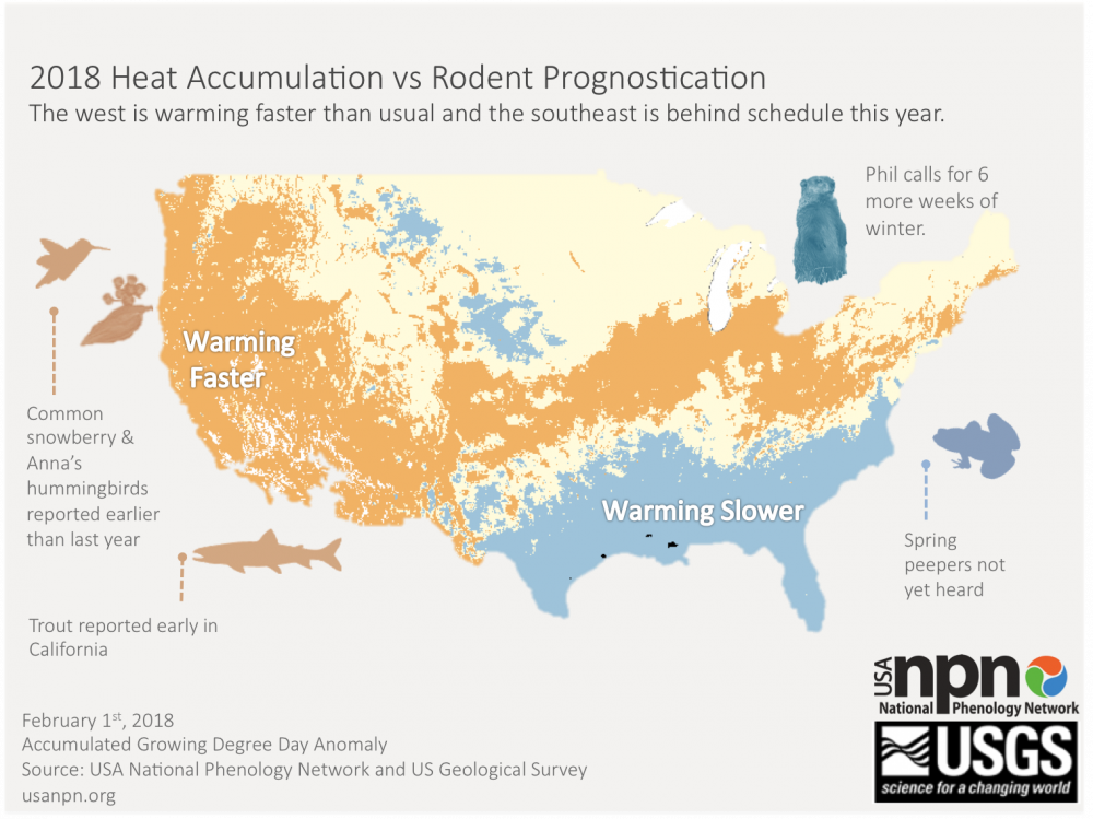Nature's Notebook observations vs Groundhog