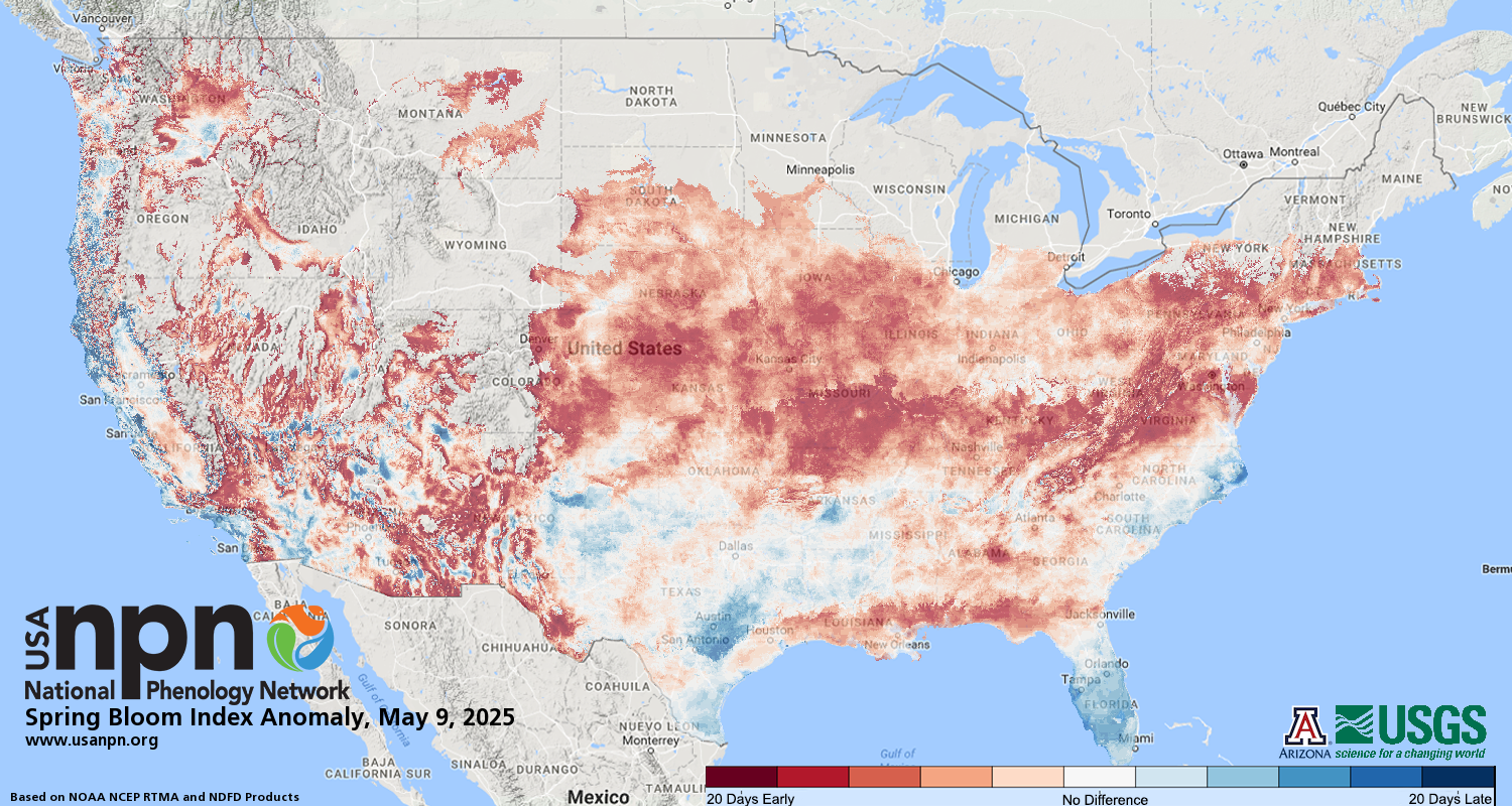 Late January through February outlook - Page 10 Six-bloom-index-anomaly