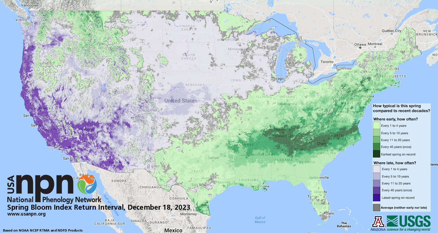 Map showing the spring first leaf index anomaly