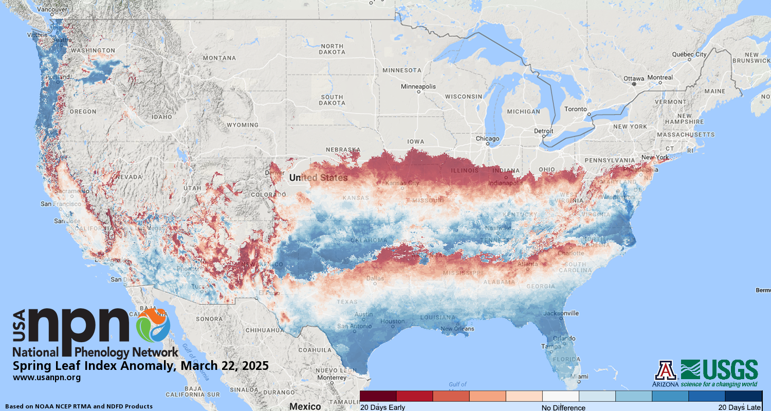 Spring Leaf Index Anomaly Map