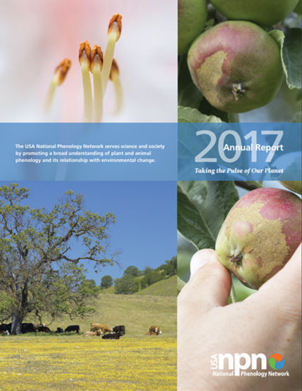 2017 Annual Report cover