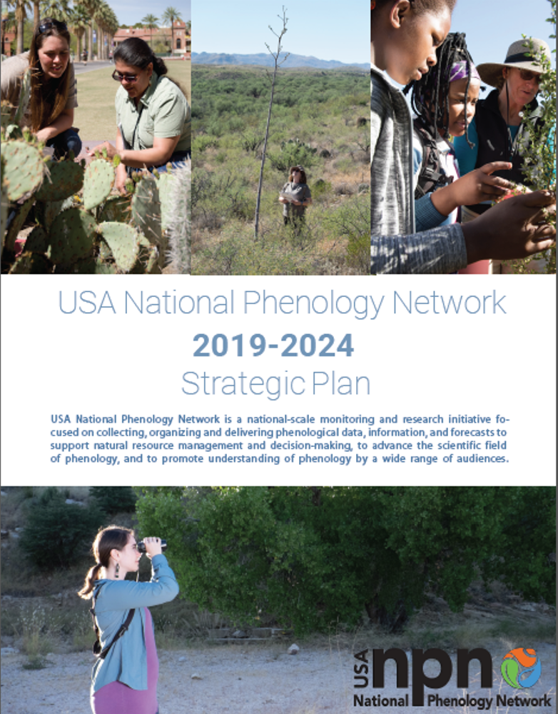 2019-2024 USA-NPN Strategic Plan icon