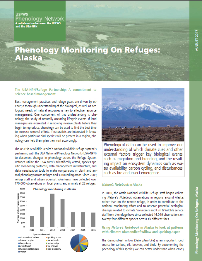 Report Cover