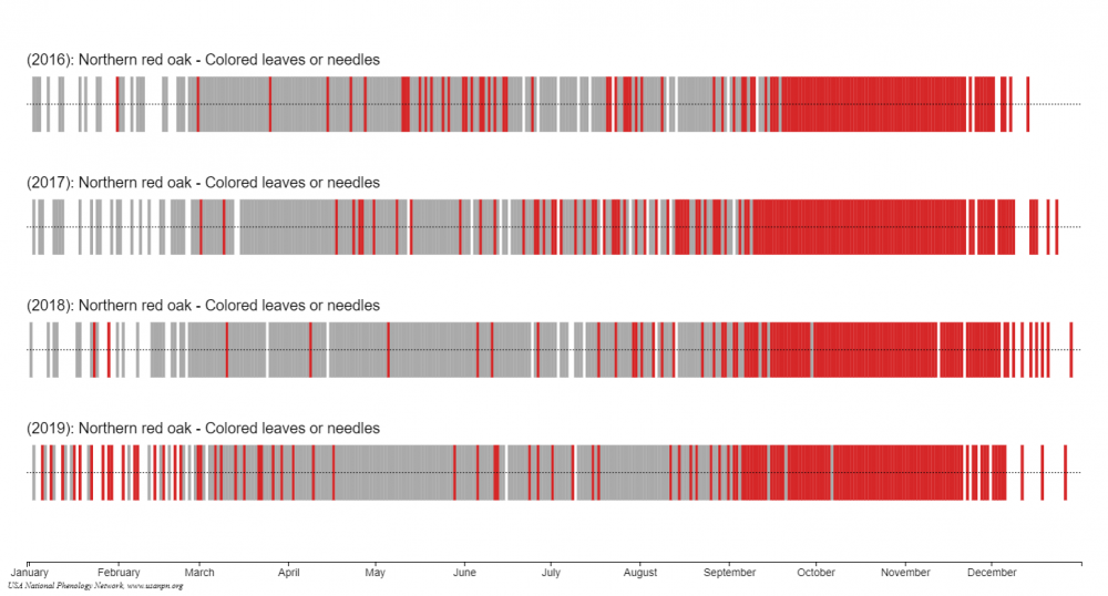 Calendar Visualization